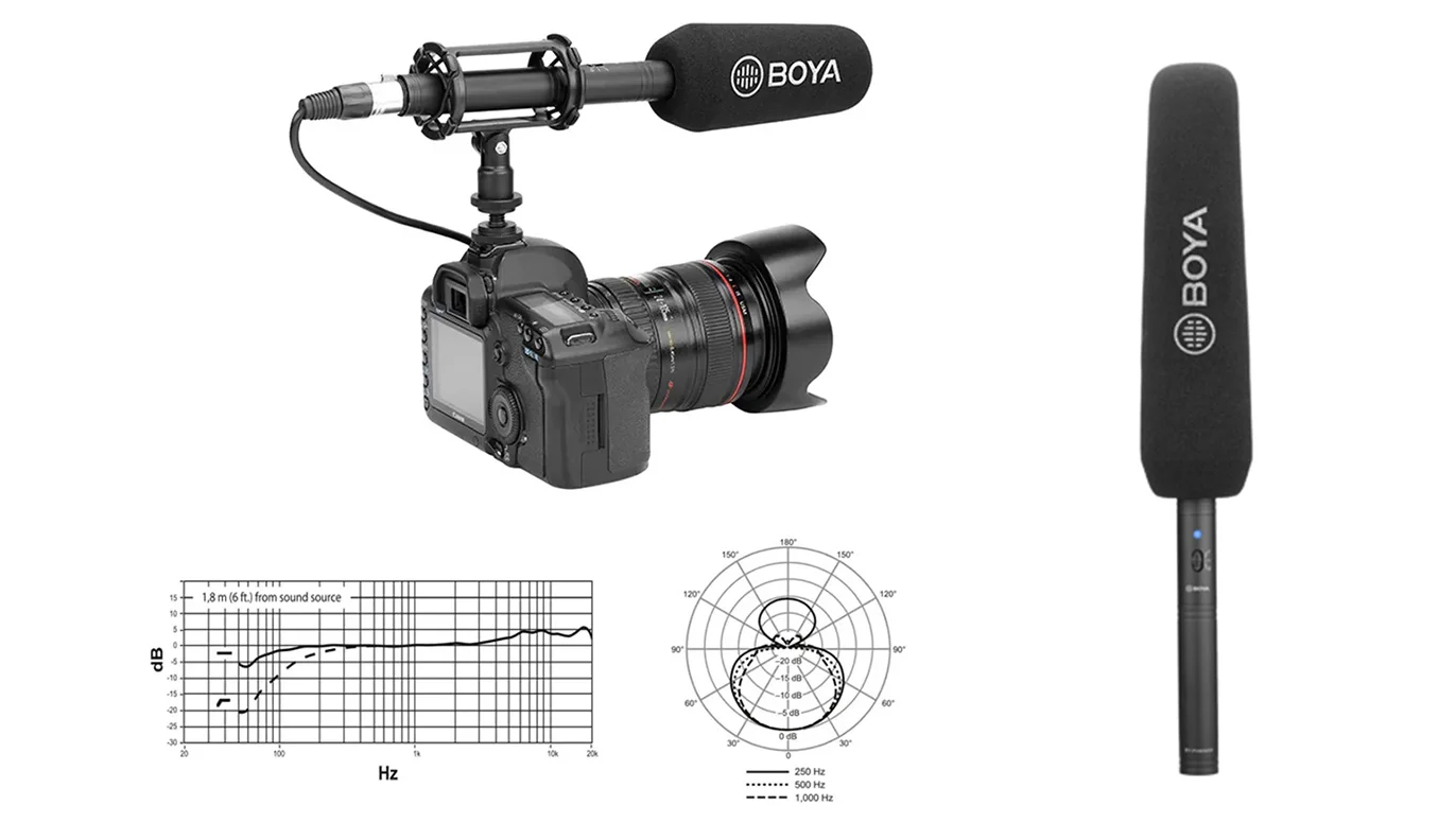 Supercardioid Shotgun Microphone for Video Recording