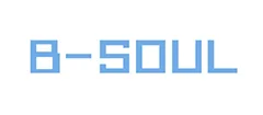 B-SOUL wholesale